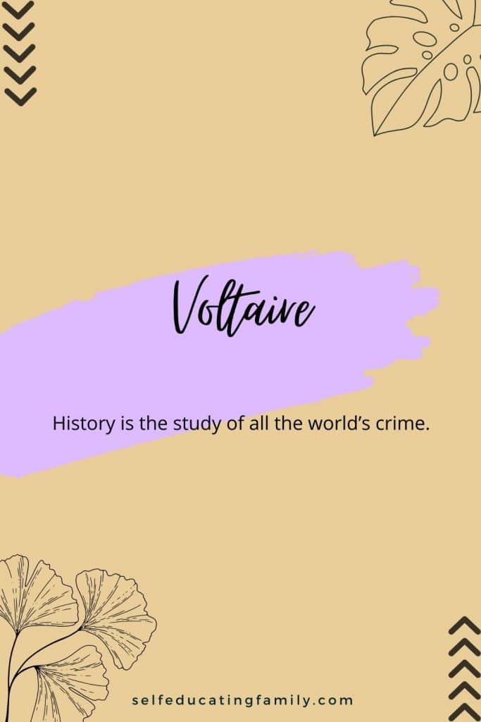 yellow and purple background with Voltaire quote about history
