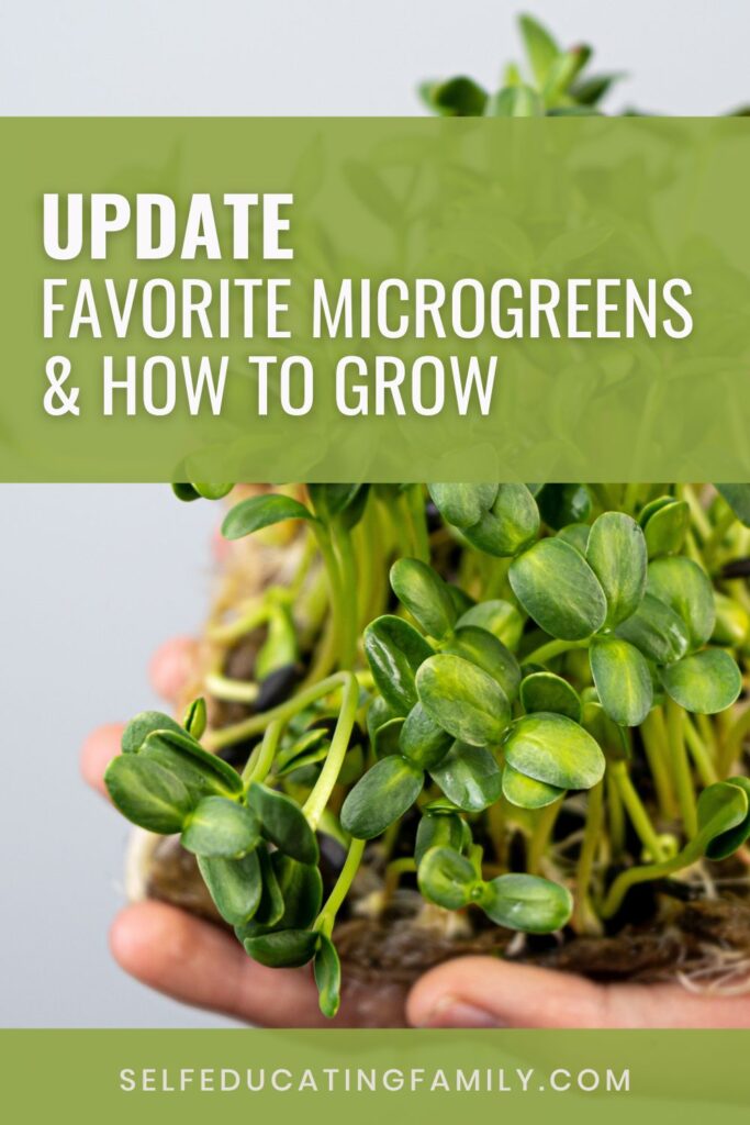 hand with microgreens and banner