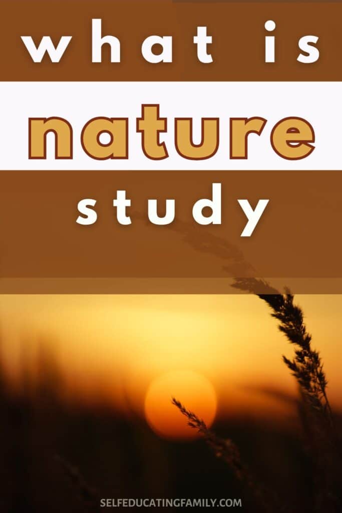 sunset with "what is nature study"