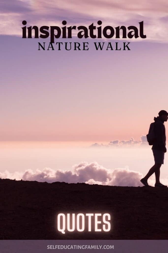 nature walk quotes pin