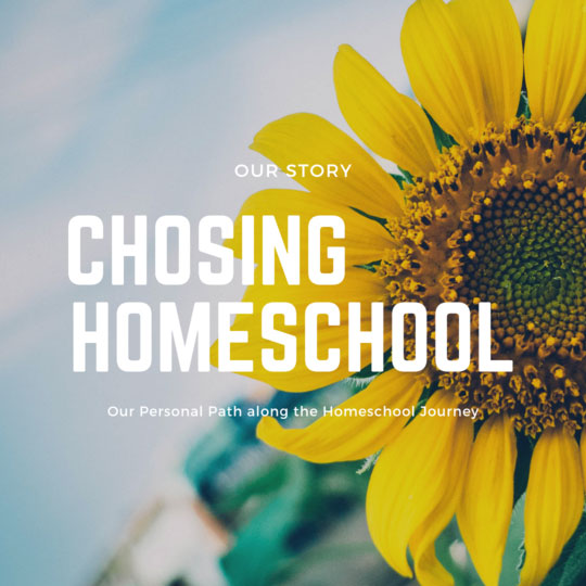image header choosing homeschool