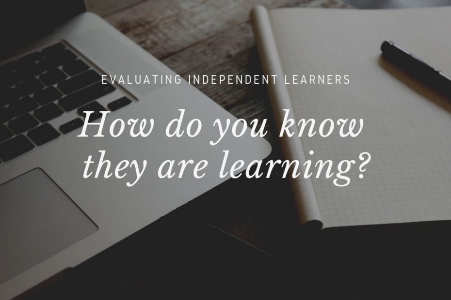 Evaluating Independent Learners image