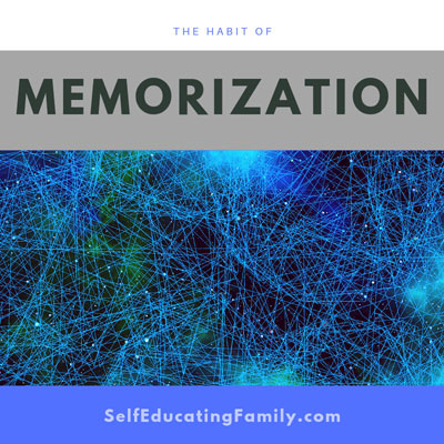 image memorization habit