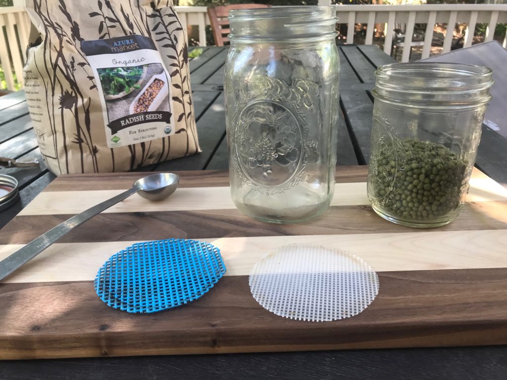 Growing sprouts in a jar