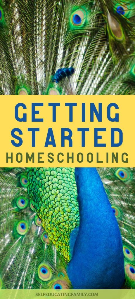 peacock feathers with text "getting started homeschooling"