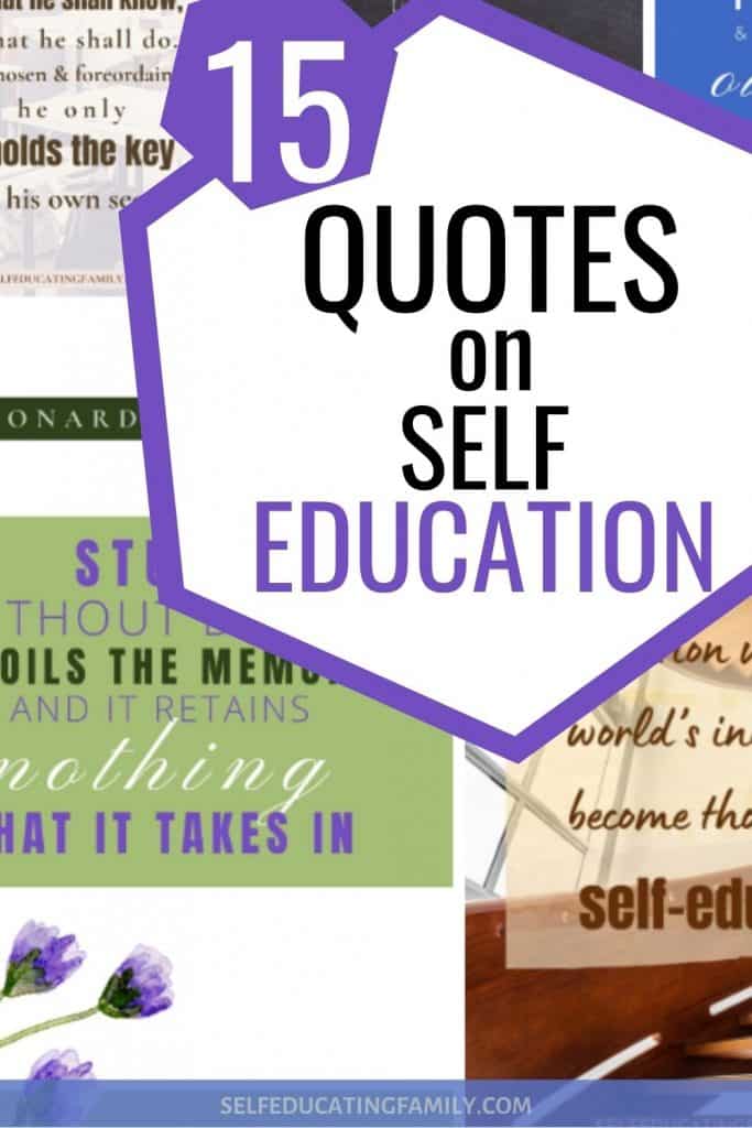 pin showing some of 15 quotes on self education