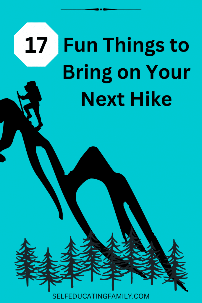 silhouette of hiker up mountain with words 17 fun things to bring on your next hike