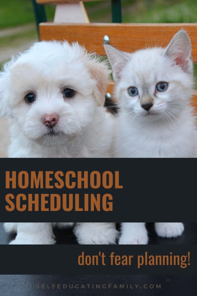 "homeschool scheduling" with scared puppy and kitten