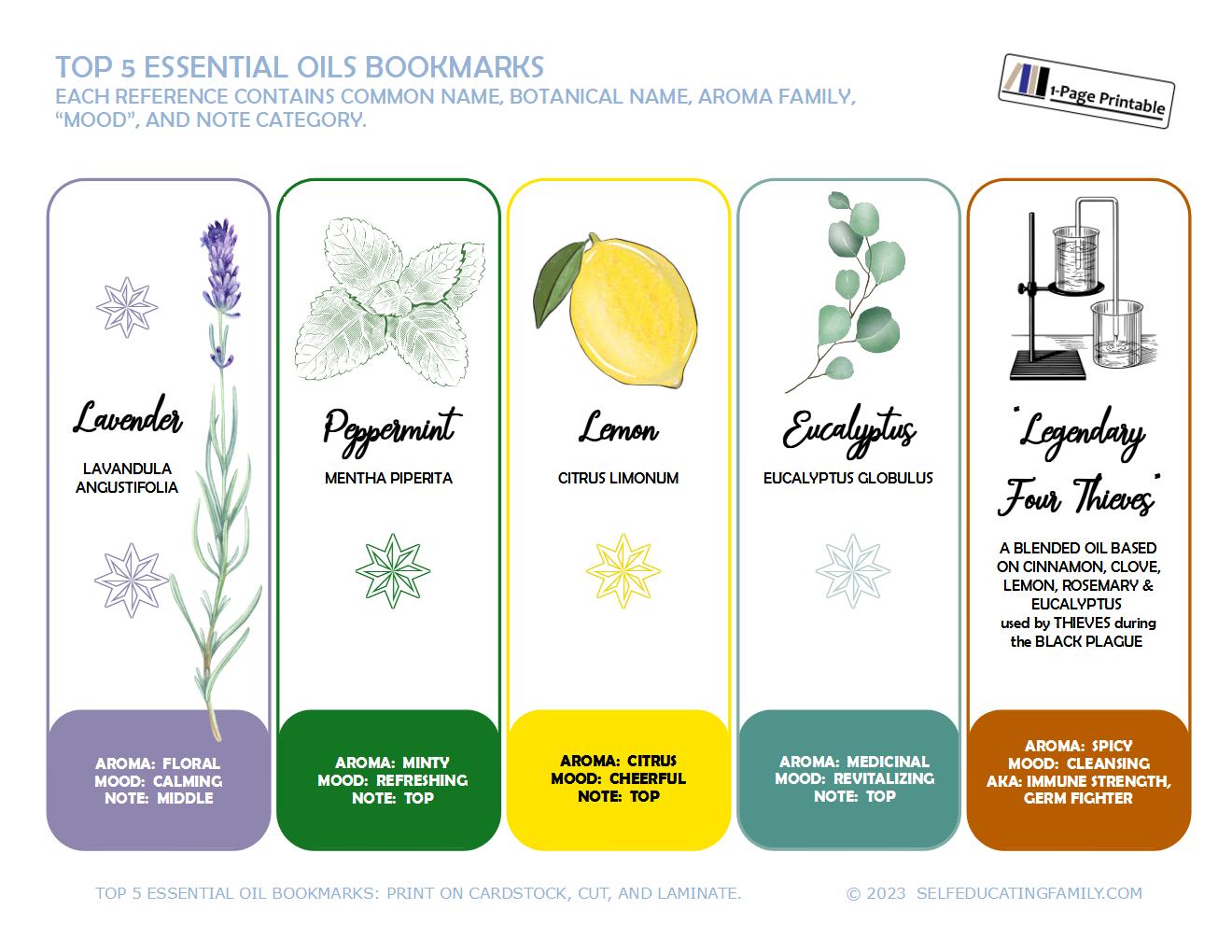 learning essential oils top 5 bookmarks