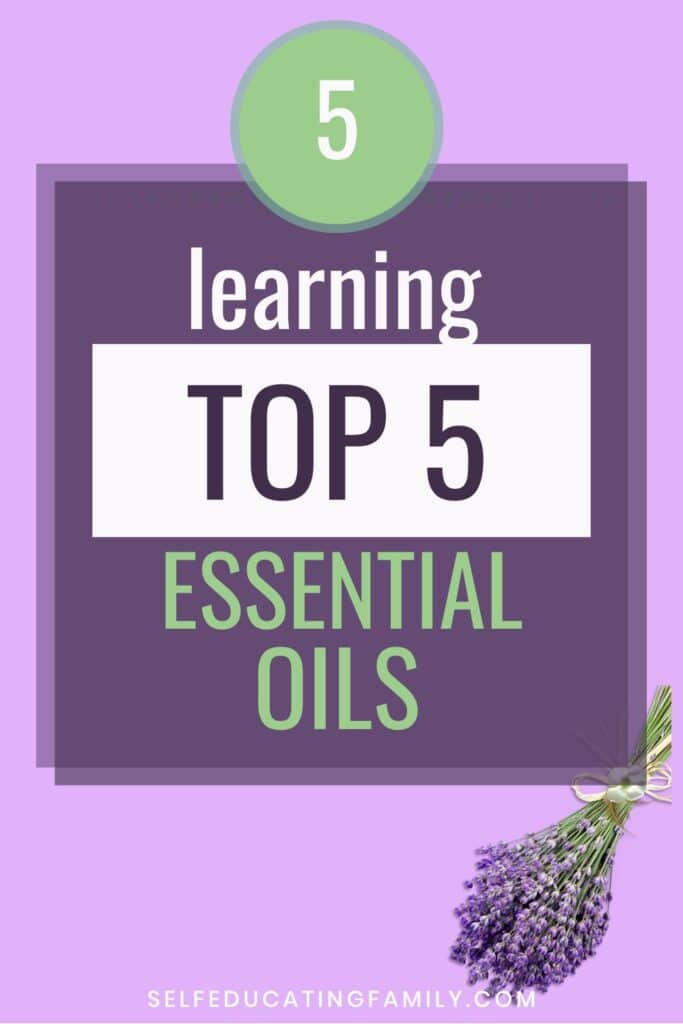 bunch of lavender with words learning top 5 essential oils pin