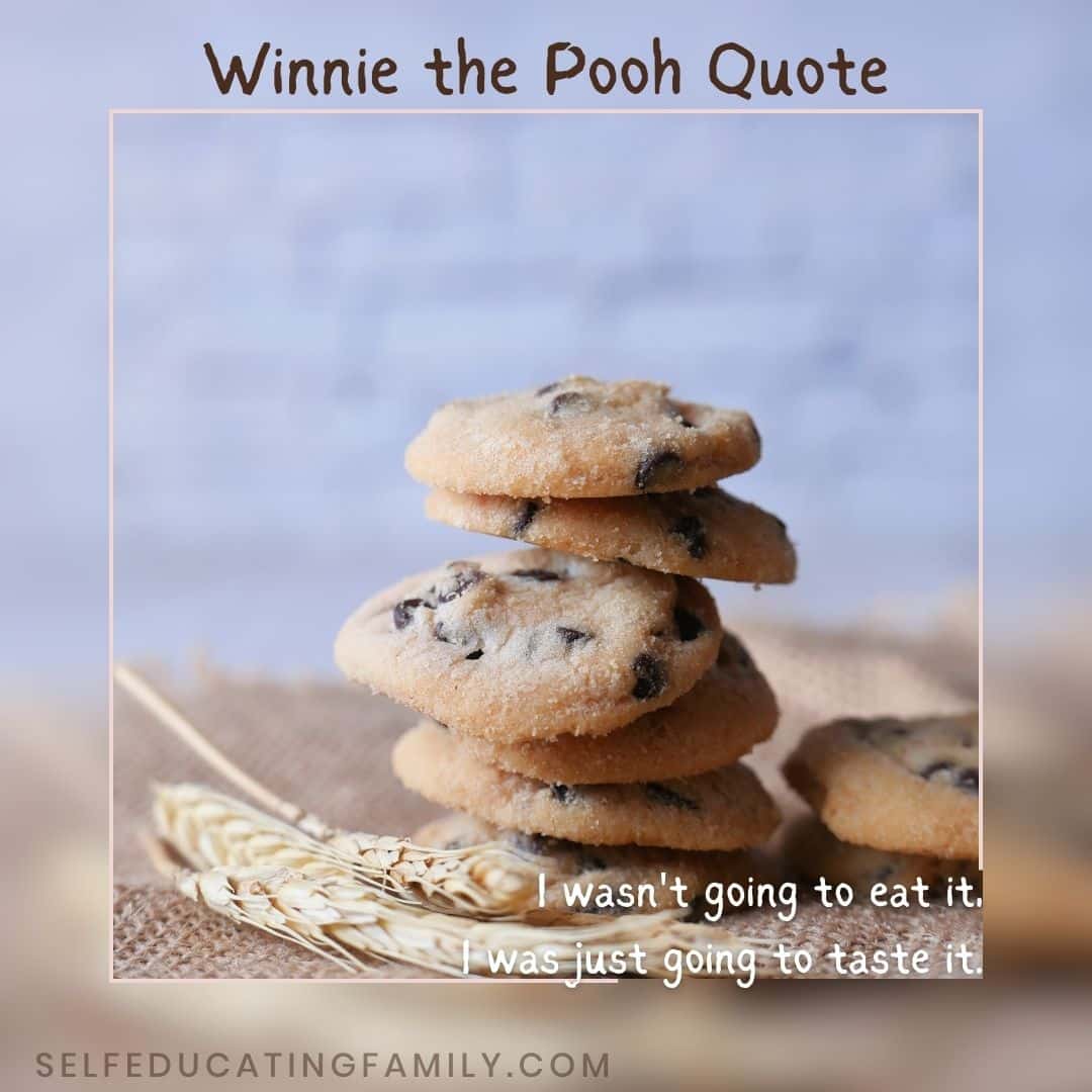 cookies with winnie the pooh quote