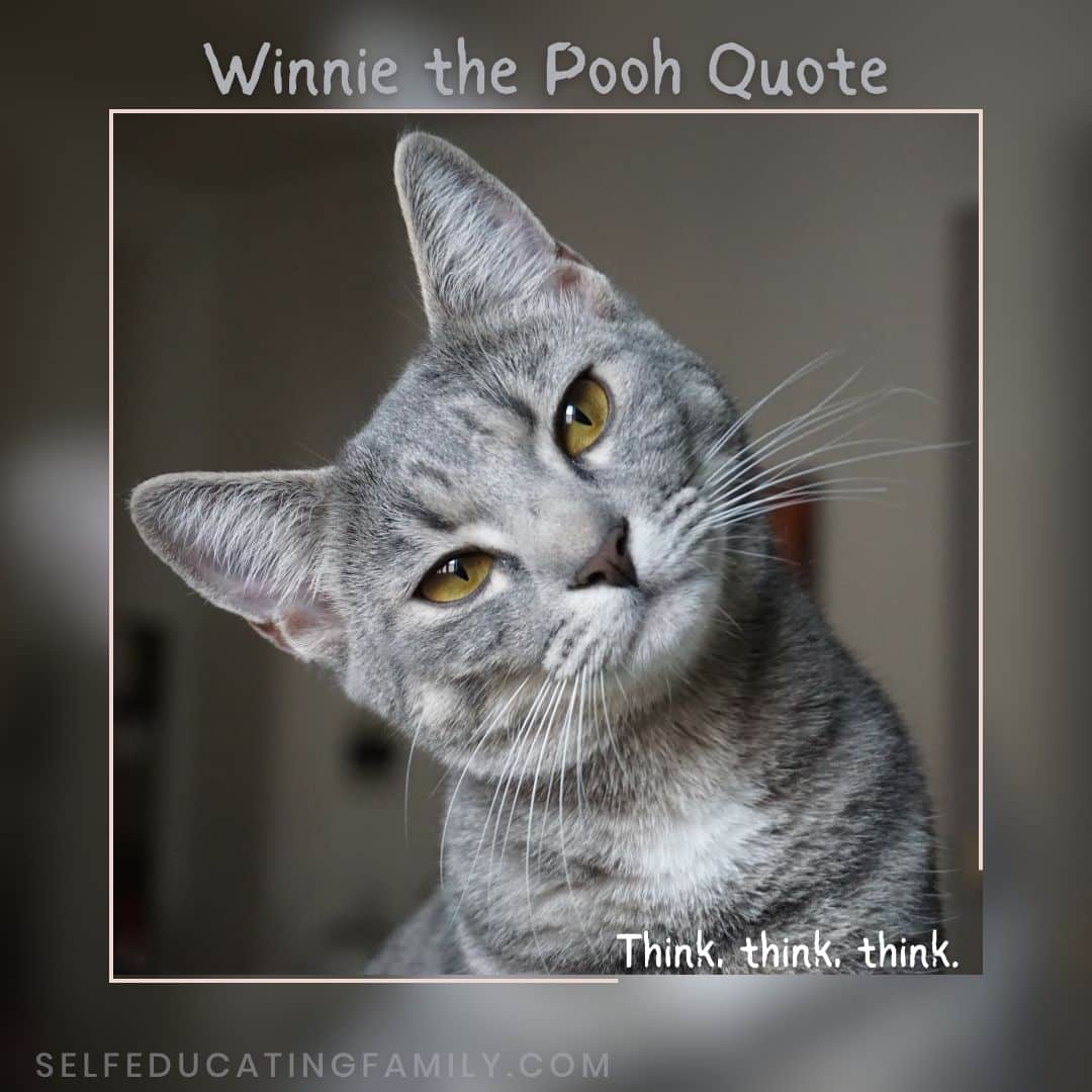 cat tilted head with winnie the pooh quotes