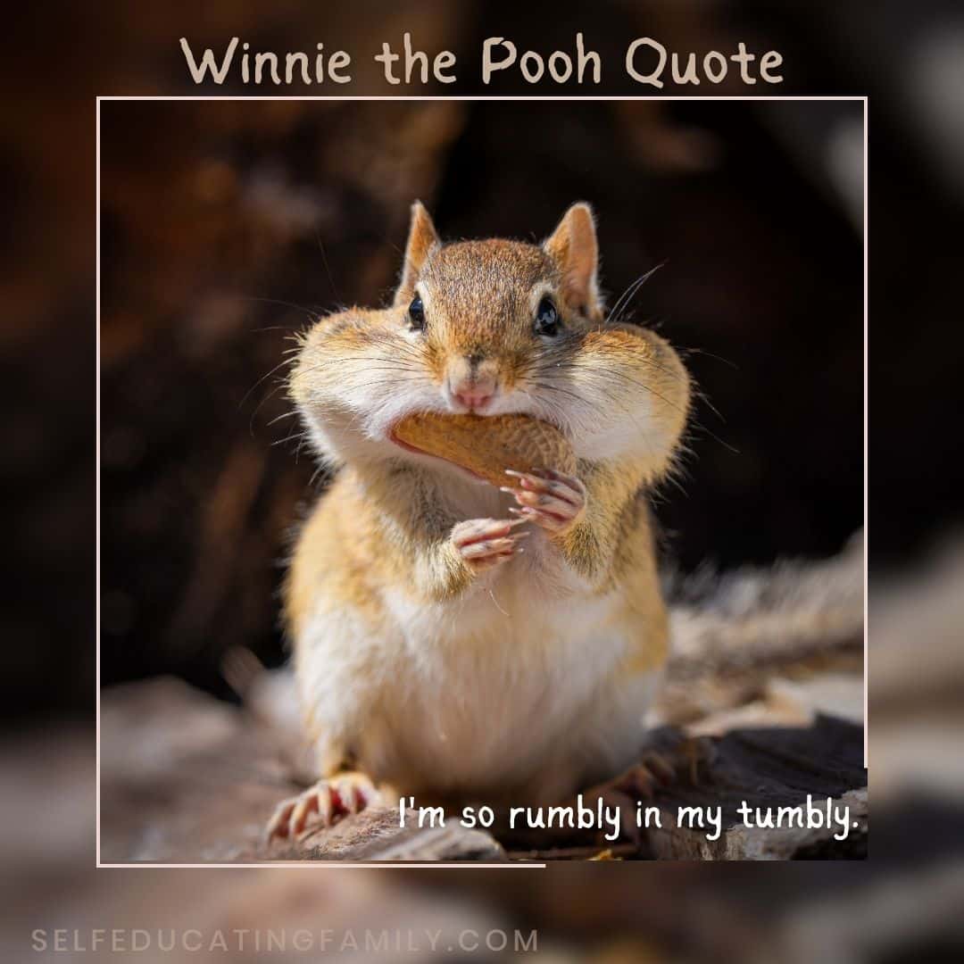 chipmunk stuffed cheeks with winnie the pooh quote