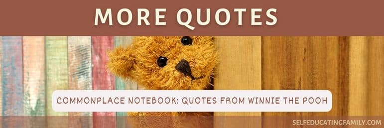 teddy bear with words quotes from winnie the pooh