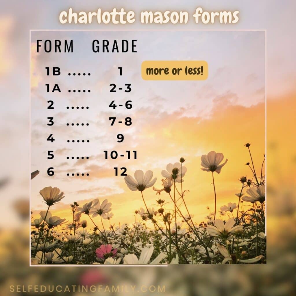 flowers with chart of charlotte mason forms & grades