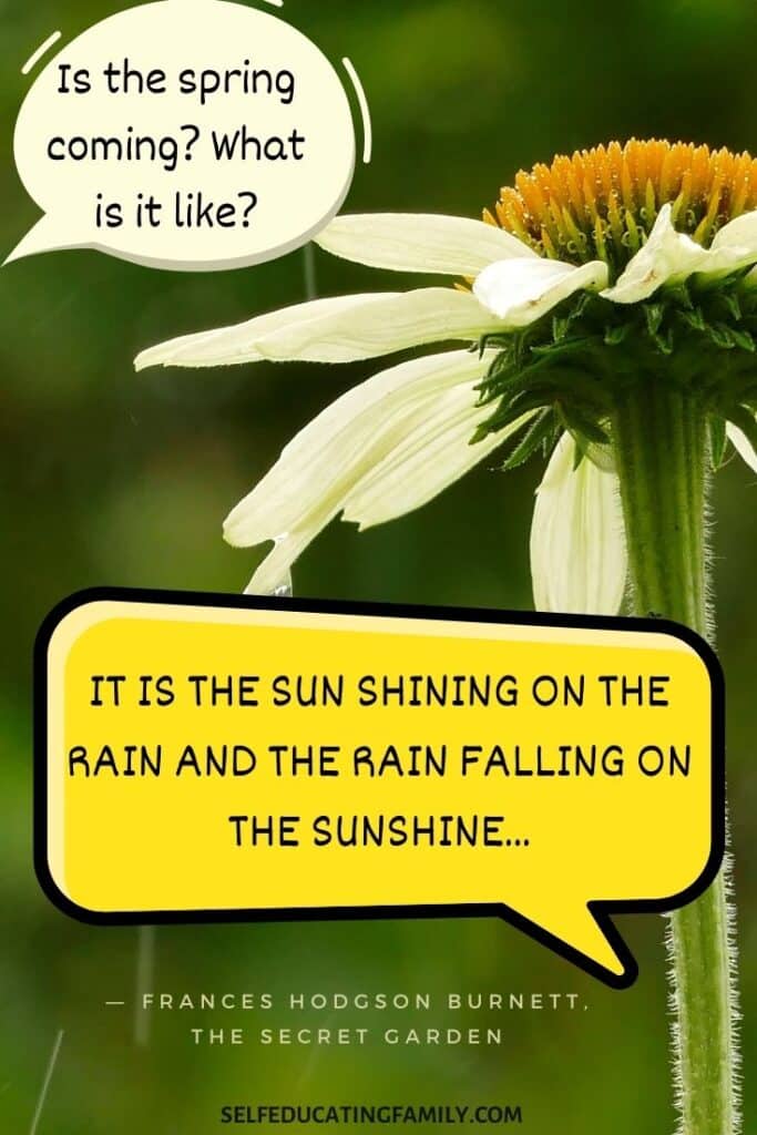 wet daisy with burnett quote on sun shining on rain