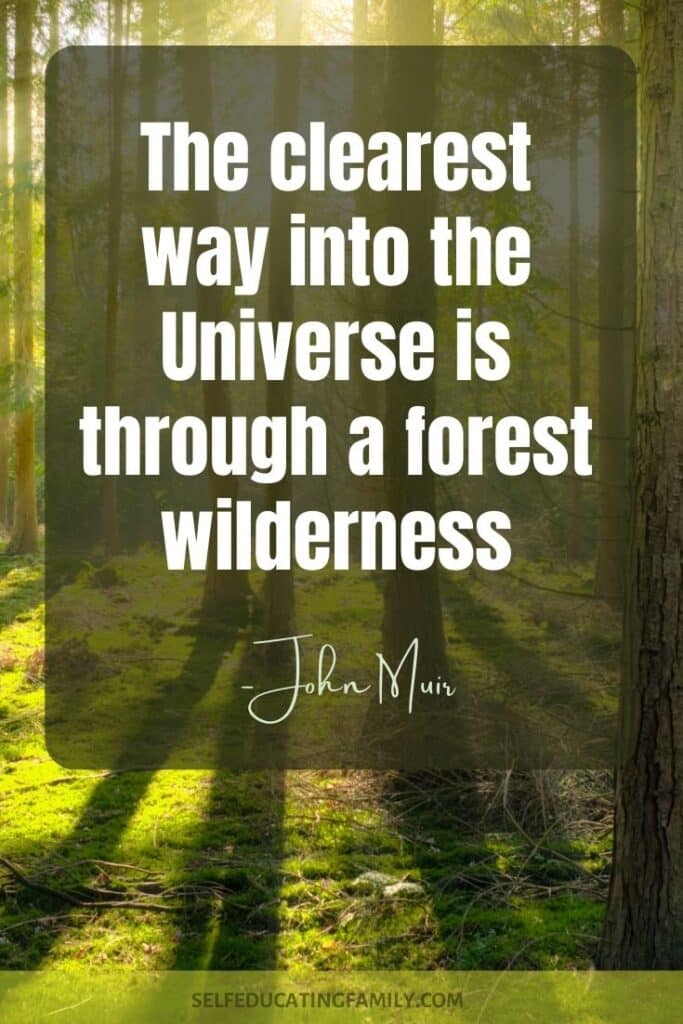 forest with muir quote