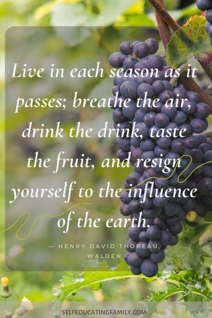 grapes with thoreau quote