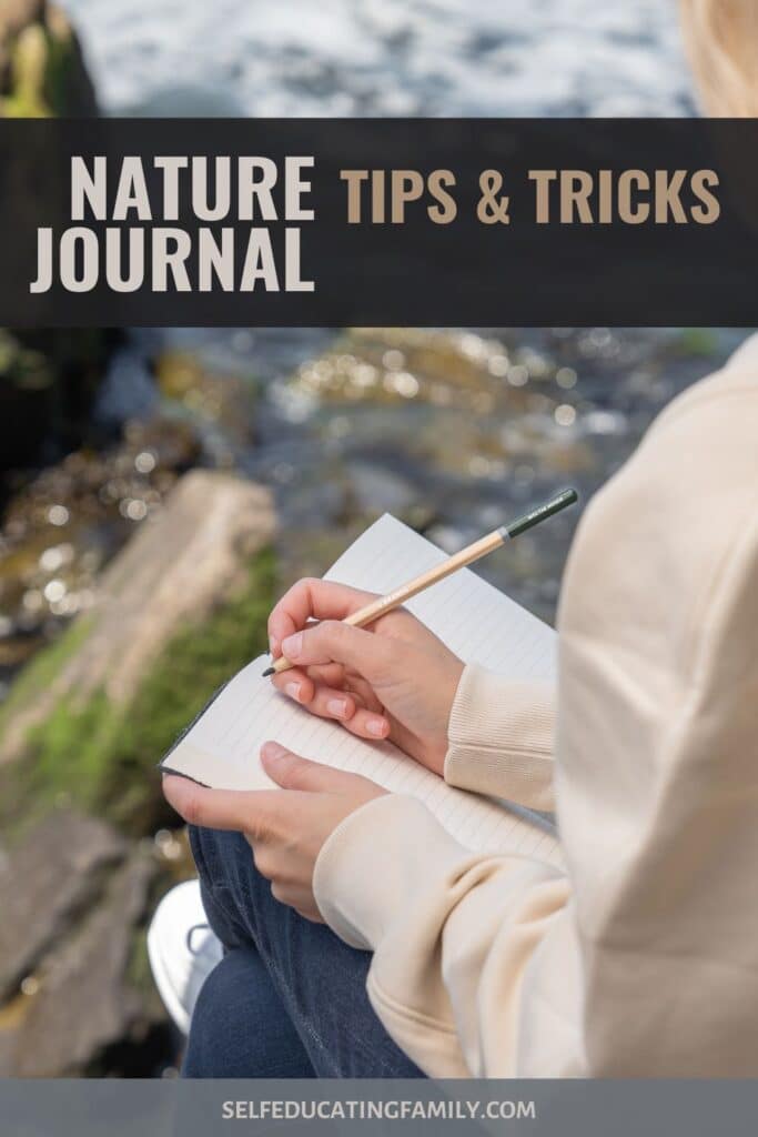 notebooking on a stony outcrop overlooking water