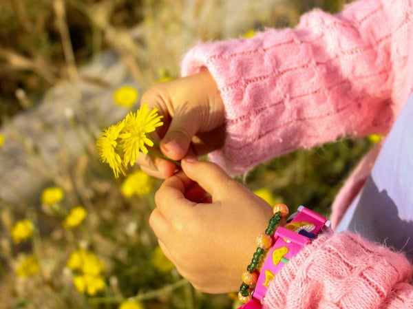 close up hands flowers