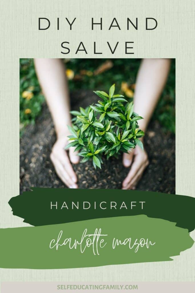 hands planting small shrub