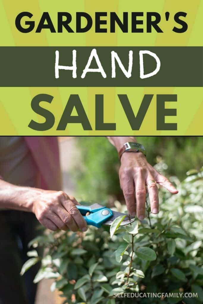 hands pruning bush