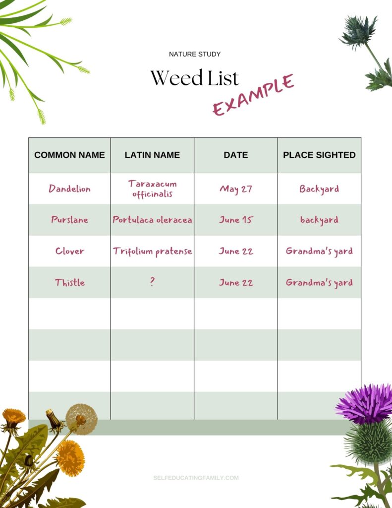 Weed List Chart with examples filled in