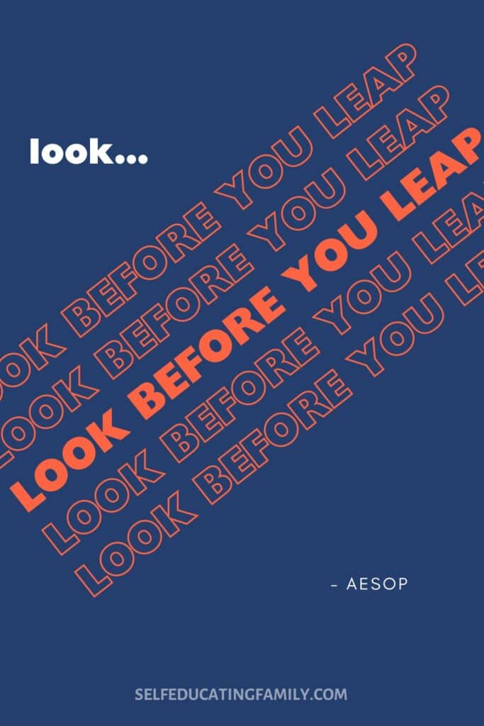 aesop's quote look b/4 leap