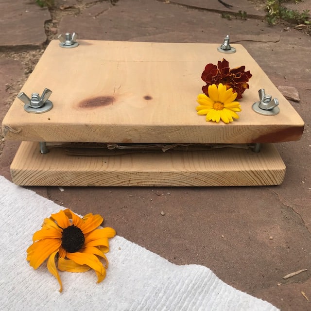 flower press with 3 flowers