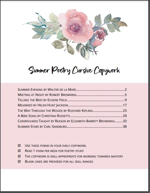 summer sampler copywork cover page with pink rose