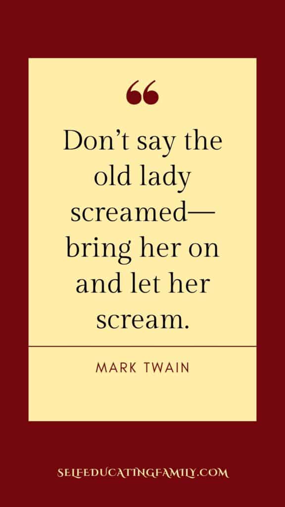 mark twain quote on cranberry background