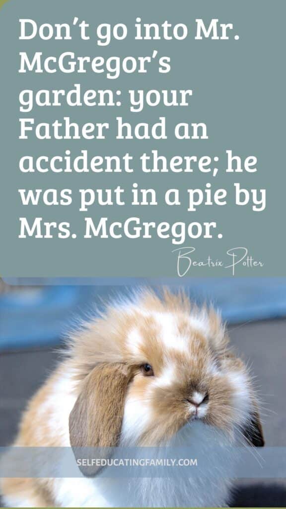 worried looking bunny rabbit with text overlay Beatrix Potter Quote about Mr. McGregor