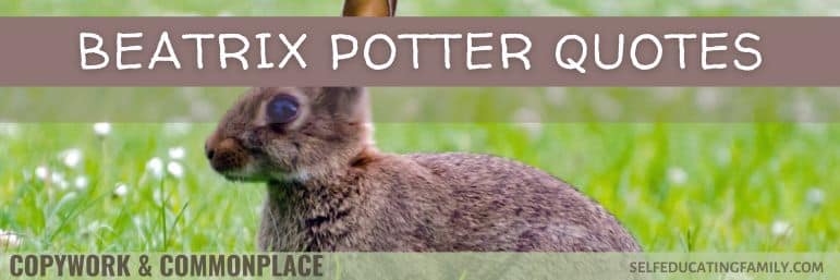 rabbit in meadow of tiny white flowers with text overlay "Beatrix Potter Quotes"