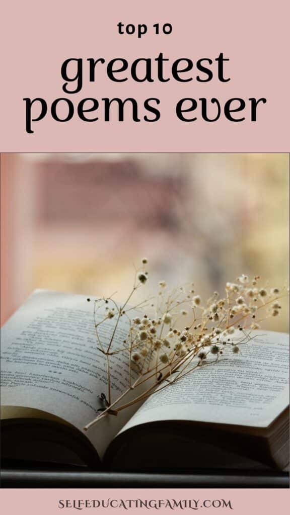 open poetry book with baby's breath dried flowers and text overly top 10 greatest poems ever
