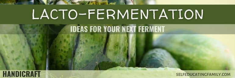 pickles in jars with cucumbers and text overlay "lacto-fermentation ideas"