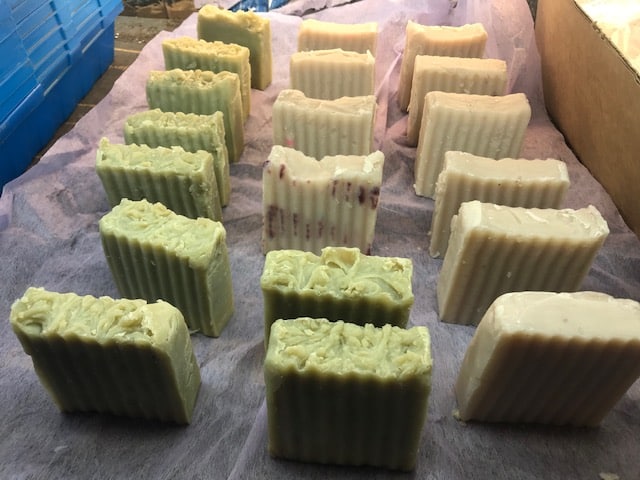 rows of freshly made cold process soap, green and beige