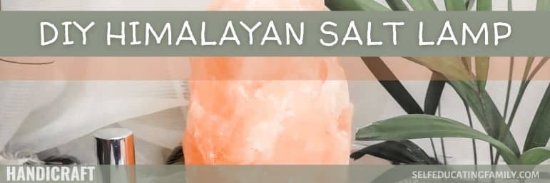 Himalayan salt lamp with plant