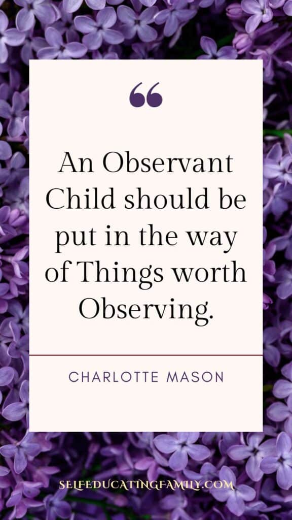 lilac flowers with text overlay of a charlotte mason quote about nature study and observing