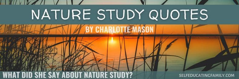 pond and reeds at sunset with header text overlay nature study quotes
