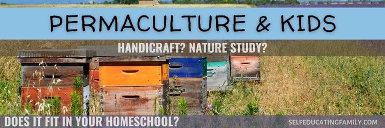 colorful wooden beehives in a field meadow