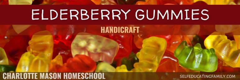 gummy bears in assorted colors