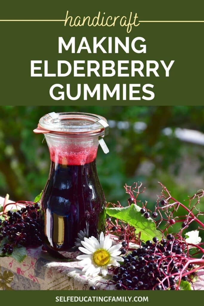 elderberry syrup on table with elderberries and a daisy outside
