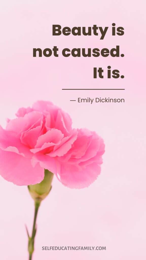 Emily Dickinson quote with pink carnation