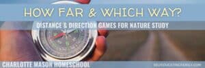 hand holding a compass with road in background