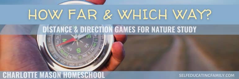 hand holding a compass with road in background