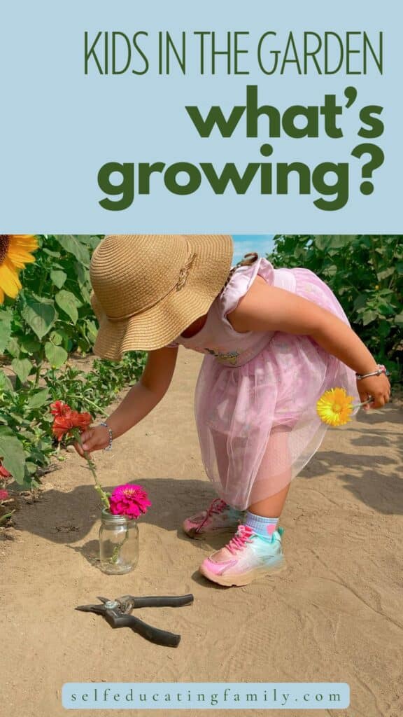 Small child in pink dress with hat gathering flowers from the garden