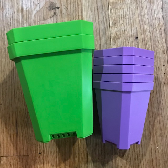 Green 5" pots with purple 3.5" sturdy nursery pots