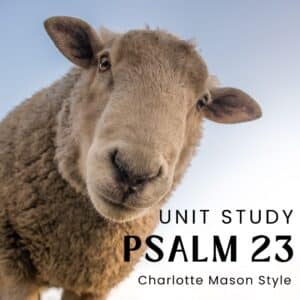 close up of sheep face looking inquisitively into the camera with text overlay psalm 23 unit study