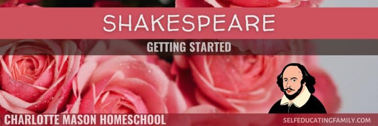 pink roses in background with Shakespeare cartoon